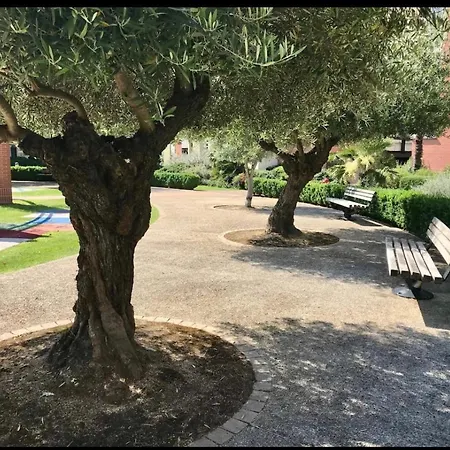 L Oasis Proche Hopital Et Aeroport Piscine Parking &netflix